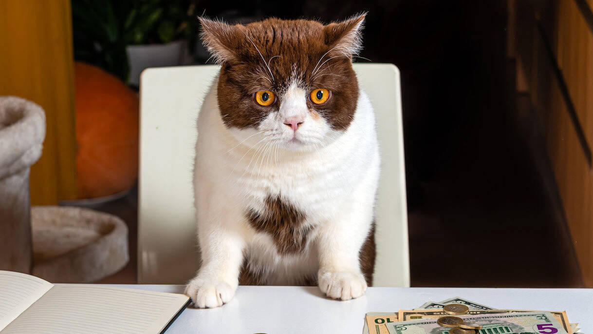 A Beginner’s Guide to Hong Kong Corporate Tax and Profits Tax Rate