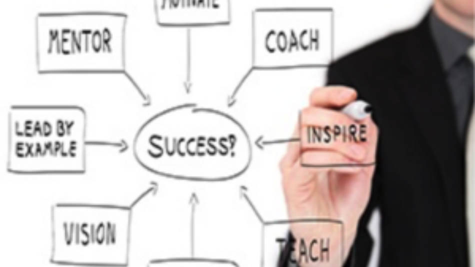 Best Practices for Talent Development and Management | Article – HSBC ...