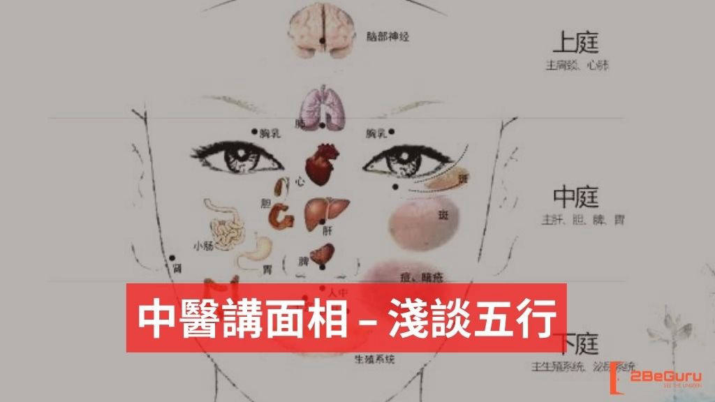 中醫講面相 – 淺談五行 | 文章 – 滙豐機滙
